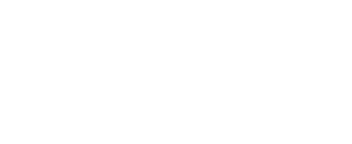 Wessex Lifts Logo White